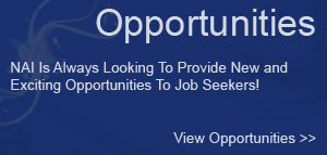 Opportunities